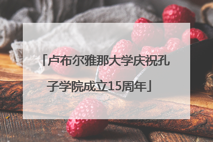 卢布尔雅那大学庆祝孔子学院成立15周年