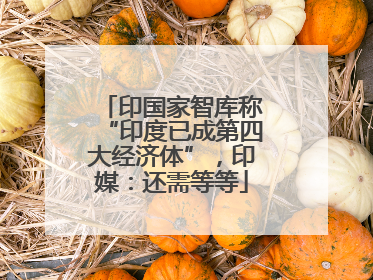印国家智库称“印度已成第四大经济体”，印媒：还需等等