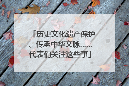 历史文化遗产保护、传承中华文脉……代表们关注这些事