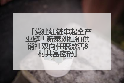 党建红链串起全产业链！新泰刘杜镇供销社双向任职激活8村共富密码