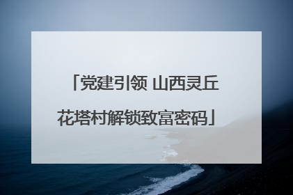 党建引领 山西灵丘花塔村解锁致富密码