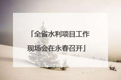 全省水利项目工作现场会在永春召开