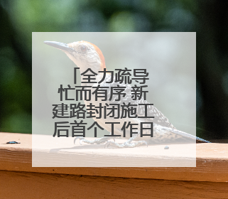全力疏导 忙而有序 新建路封闭施工后首个工作日见闻