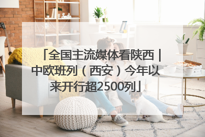 全国主流媒体看陕西｜中欧班列（西安）今年以来开行超2500列