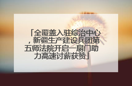 全覆盖入驻综治中心，新疆生产建设兵团第五师法院开启一扇门助力高速讨薪获赞