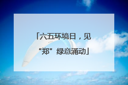 六五环境日，见“郑”绿意涌动