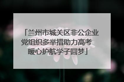 兰州市城关区非公企业党组织多举措助力高考 暖心护航学子圆梦