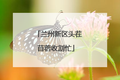 兰州新区头茬苜蓿收割忙