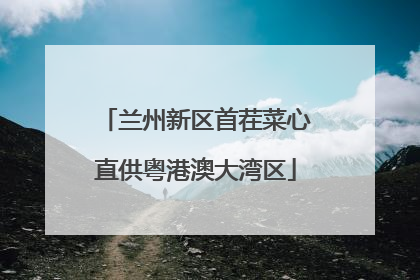 兰州新区首茬菜心直供粤港澳大湾区