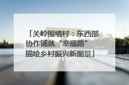 关岭围墙村：东西部协作铺就“幸福路” 描绘乡村振兴新图景