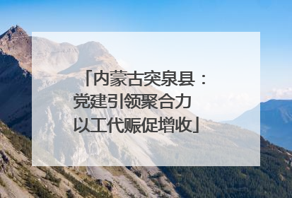 内蒙古突泉县：党建引领聚合力 以工代赈促增收