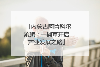 内蒙古阿鲁科尔沁旗：一棵草开启产业发展之路