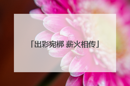 出彩宛梆 薪火相传