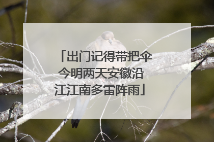 出门记得带把伞 今明两天安徽沿江江南多雷阵雨