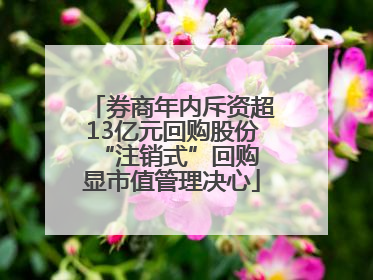 券商年内斥资超13亿元回购股份 “注销式”回购显市值管理决心
