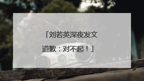 刘若英深夜发文道歉：对不起！