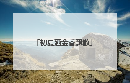 初夏洒金香飘散