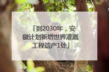 到2030年，安徽计划新增世界灌溉工程遗产1处