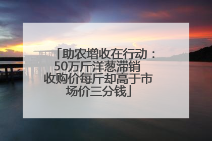 助农增收在行动：50万斤洋葱滞销 收购价每斤却高于市场价三分钱