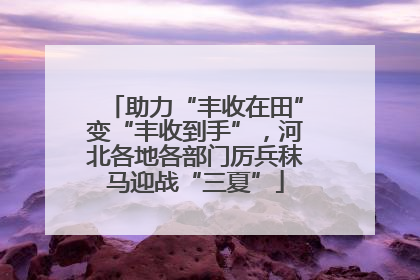 助力“丰收在田”变“丰收到手”，河北各地各部门厉兵秣马迎战“三夏”