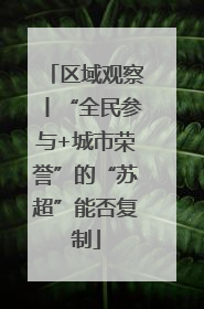 区域观察丨“全民参与+城市荣誉”的“苏超”能否复制