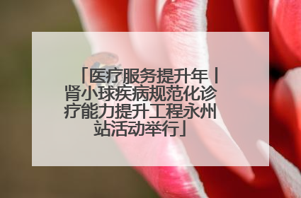 医疗服务提升年丨肾小球疾病规范化诊疗能力提升工程永州站活动举行