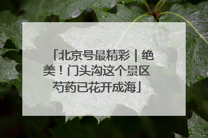 北京号最精彩｜绝美！门头沟这个景区芍药已花开成海