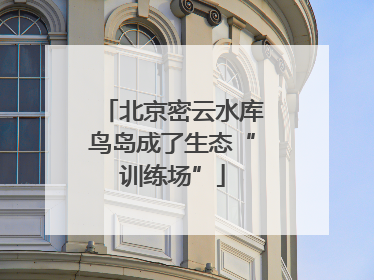 北京密云水库鸟岛成了生态“训练场”