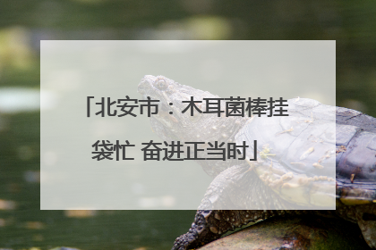 北安市：木耳菌棒挂袋忙 奋进正当时