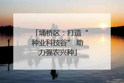 埇桥区：打造“种业科技谷” 助力强农兴种