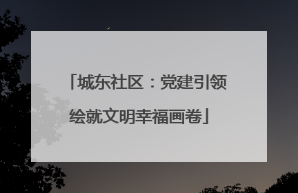 城东社区：党建引领绘就文明幸福画卷