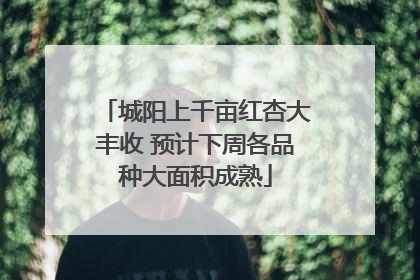 城阳上千亩红杏大丰收 预计下周各品种大面积成熟