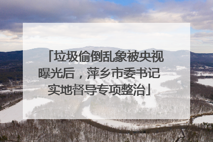 垃圾偷倒乱象被央视曝光后，萍乡市委书记实地督导专项整治