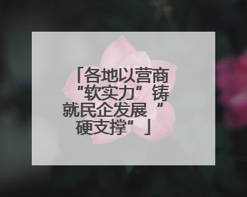 各地以营商“软实力”铸就民企发展“硬支撑”