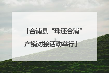 合浦县“珠还合浦”产销对接活动举行