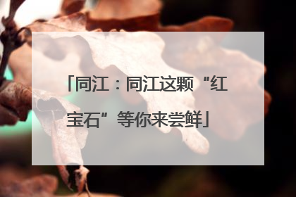同江：同江这颗“红宝石”等你来尝鲜