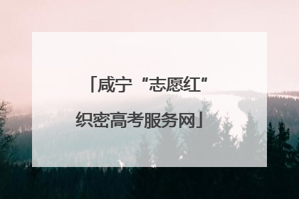咸宁“志愿红”织密高考服务网