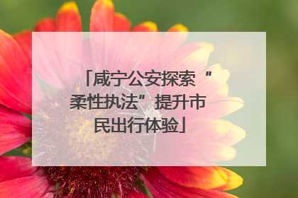 咸宁公安探索“柔性执法”提升市民出行体验