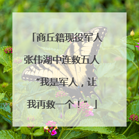 商丘籍现役军人张伟湖中连救五人 “我是军人，让我再救一个！”