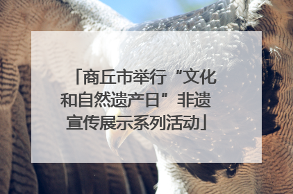 商丘市举行“文化和自然遗产日”非遗宣传展示系列活动