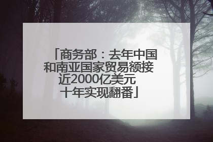 商务部：去年中国和南亚国家贸易额接近2000亿美元 十年实现翻番