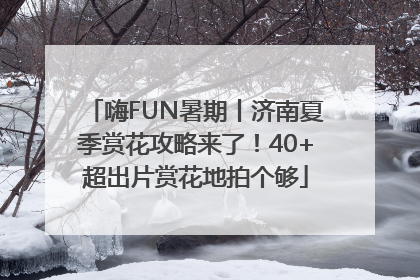 嗨FUN暑期丨济南夏季赏花攻略来了！40+超出片赏花地拍个够