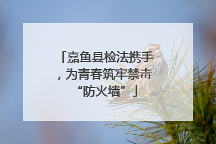 嘉鱼县检法携手，为青春筑牢禁毒“防火墙”