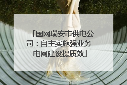 国网瑞安市供电公司：自主实施强业务 电网建设提质效