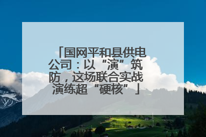 国网平和县供电公司：以“演”筑防，这场联合实战演练超“硬核”