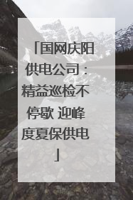 国网庆阳供电公司：精益巡检不停歇 迎峰度夏保供电