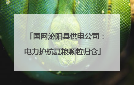 国网泌阳县供电公司：电力护航夏粮颗粒归仓