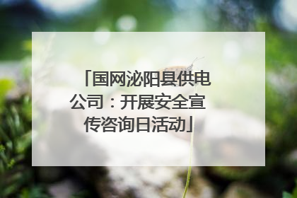 国网泌阳县供电公司：开展安全宣传咨询日活动