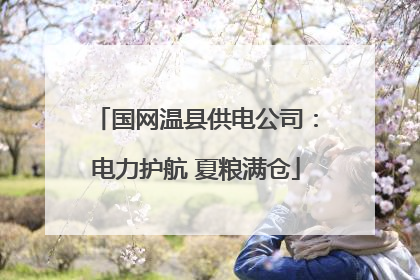 国网温县供电公司：电力护航 夏粮满仓