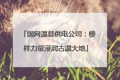 国网温县供电公司：榜样力量浸润古温大地